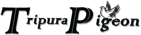 tripura pratidin Logo