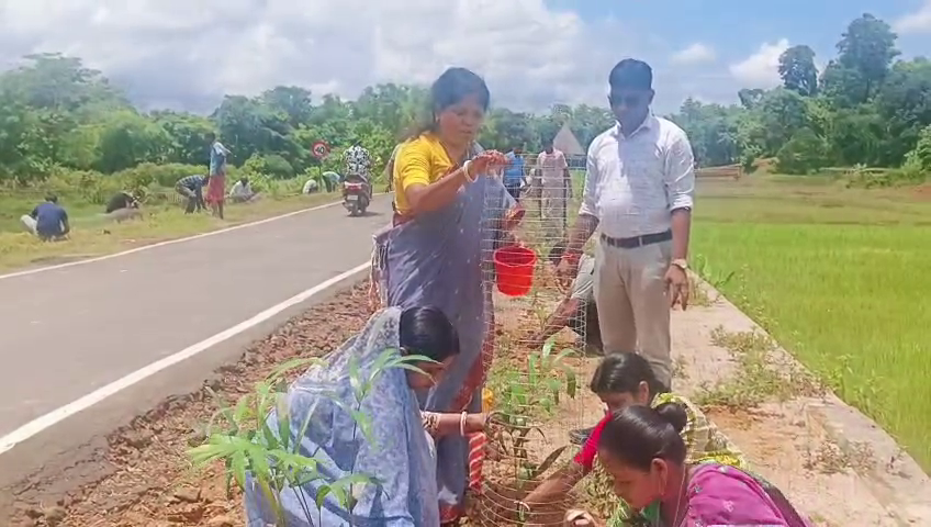 “গাছ আমার মা’— সবুজের অঙ্গীকারে মহাবীরে ৩০০ বৃক্ষরোপণ, ভবিষ্যৎ প্রজন্মের জন্য এক অনন্য উপহার”