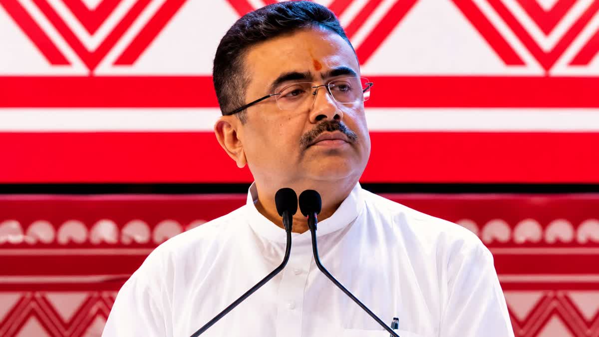 গত ৫০ বছরে শিল্পে পিছিয়ে পড়েছে পশ্চিমবঙ্গ : মুখ্যমন্ত্রী