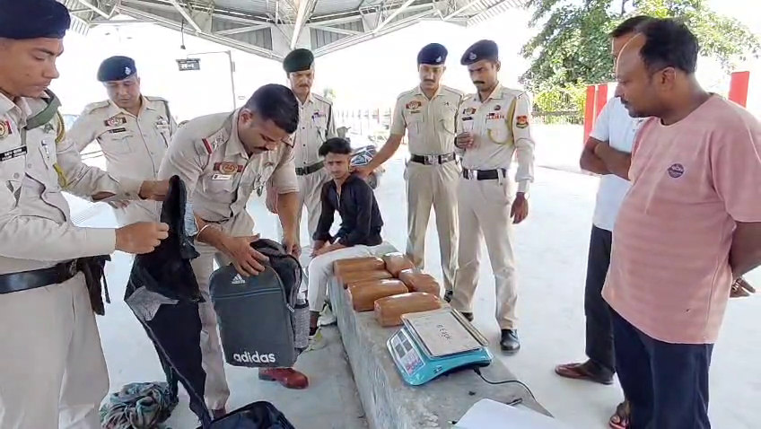 ১২ কেজি গাঁজা সহ মোহনভোগ এলাকার ১৯ বছরের এক যুবক আটক