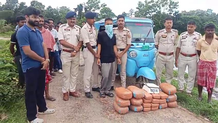 হাত কাটা এলাকা থেকে ৪০ কেজি গাঁজা উদ্ধার, গ্রেফতার ১