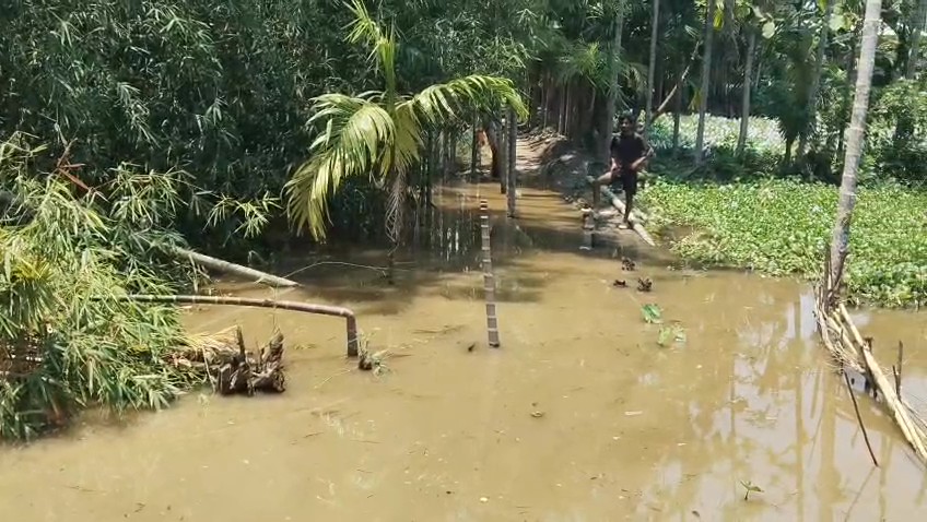 জল নিকাশির স্থায়ী ব্যবস্থা না থাকায় বৃষ্টির জলেই কার্যত জলবন্দি ত্রিপুরার ঊনকোটি জেলার কুমারঘাট মহকুমার পাবিয়াছড়া বিধানসভাধীন সোনাইমুড়ি রাখালতলি এলাকার একাধিক পরিবার। 